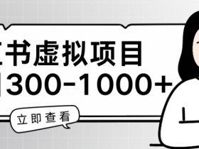虚拟资料项目有多赚钱吗，小红书冷门项目拆解