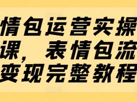 表情包项目如何通过数据分析提升收益，精准优化的运营技巧