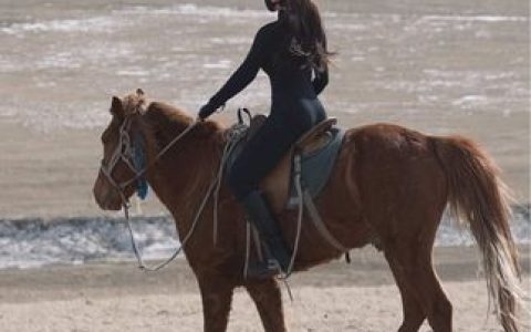 MIYA–微密圈05月16日粉色情趣自拍简介