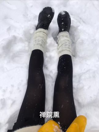 禅院熏微密圈写真合集，资源打包下载尽享精彩