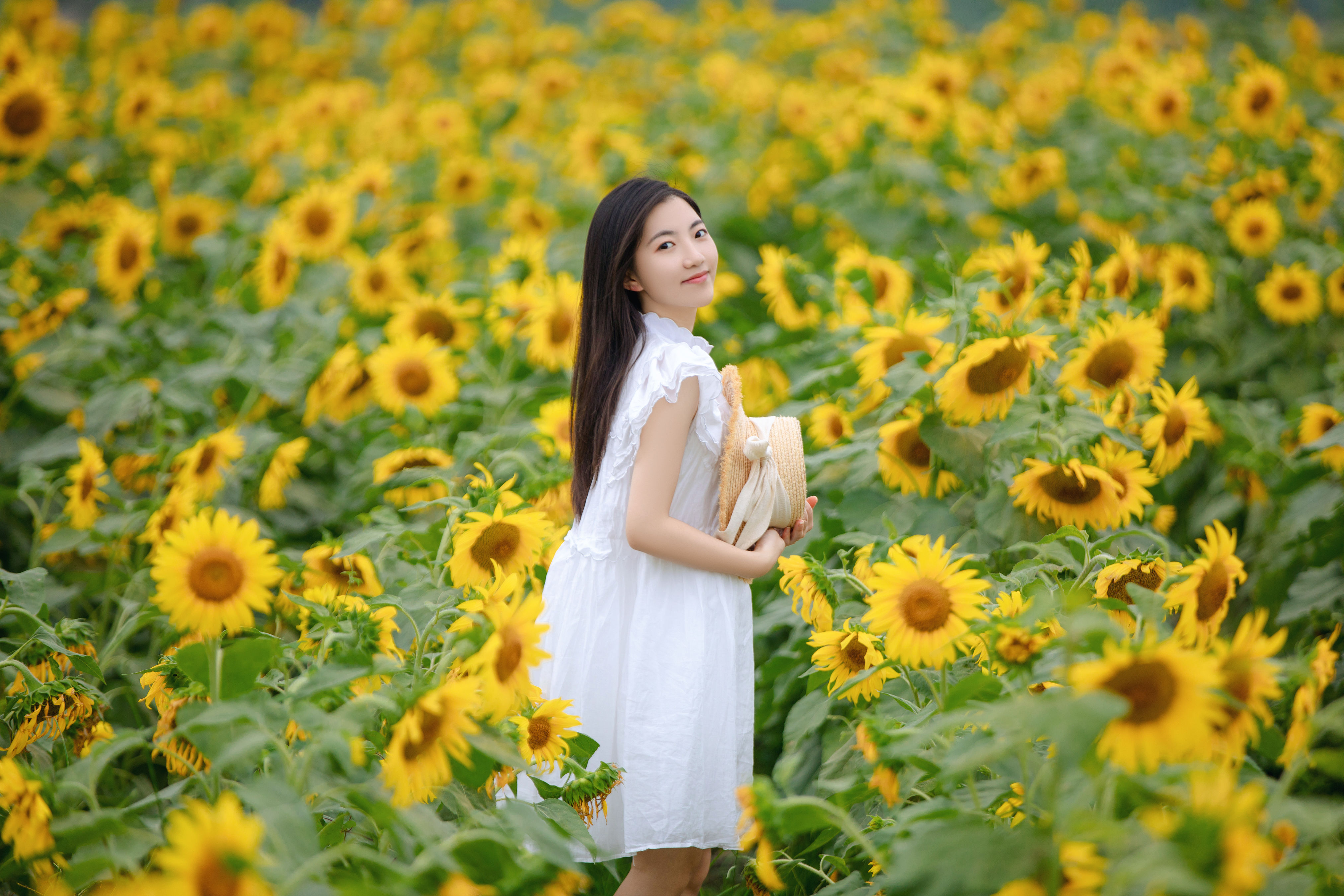 向日葵女孩 向日葵 花 少女 小清新 写真集