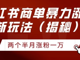 小红书引流技巧详解，掌握这些方法实现流量裂变
