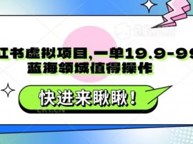 虚拟资料项目有多赚钱吗，小红书冷门项目拆解