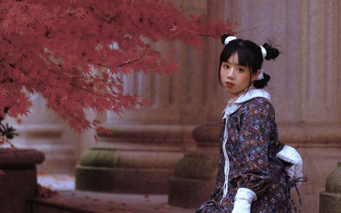 梦回昭和非主流 复古 枫叶 女生 日式和风 – YiTuYu艺图语