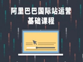 国际站运营的供应链管理，如何在运营中有效管理供应链