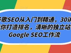 Googleseo外贸SEO如何通过Googleseo提升外贸网站流量，Googleseo外贸优化的成功案例