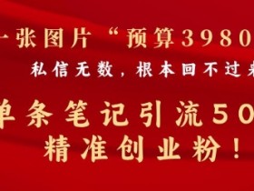 小红书矩阵推广靠谱吗，精准引流到私域的高效方法揭秘