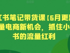 短剧推广赚钱的底层逻辑，小红书蓝海项目的操作秘籍
