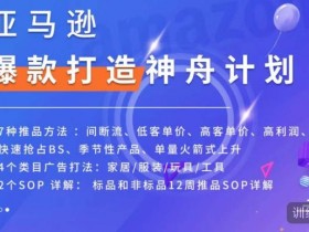 亚马逊成人用品的运营难点与解决方案，卖家必须掌握的核心知识