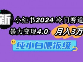 小红书运营薪资怎么样，详细拆解行业内各职位薪酬水平