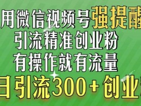 视频号蓝海风口项目揭秘，新手如何轻松操作日入500+