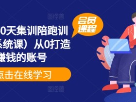 小红书掘金虚拟资料项目，月入5000+的冷门玩法实操解析