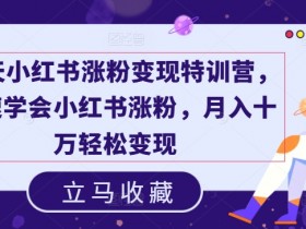 小红书掘金虚拟项目怎么玩，低成本操作的新手入门教程