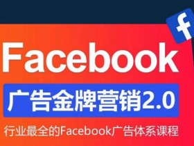 2025年最新Facebook流量获取技巧，玩转短视频与广告引流