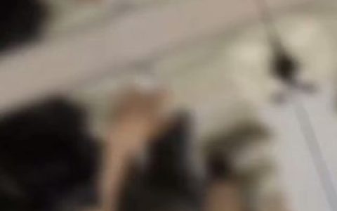 左公子666微密weme图片视频合集，专属内容付费解锁