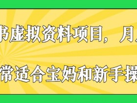 小红书蓝海虚拟资料玩法，信息差项目轻松变现