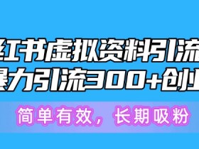 小红书蓝海虚拟资料玩法，信息差项目轻松变现