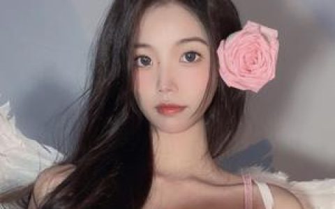 纪念小小v5合集打包，图片视频下载全套