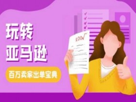 亚马逊成人用品行业的未来，全球市场规模与增长趋势分析