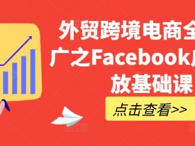 2025年最新Facebook流量获取技巧，玩转短视频与广告引流