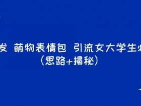 表情包项目的粉丝运营策略，从互动到收益的全攻略