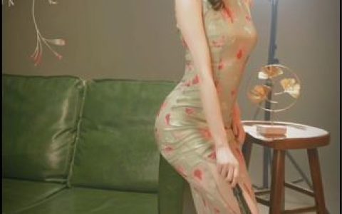 轩子巨二兔微密圈原画短视频合集,付费解锁的珍贵内容