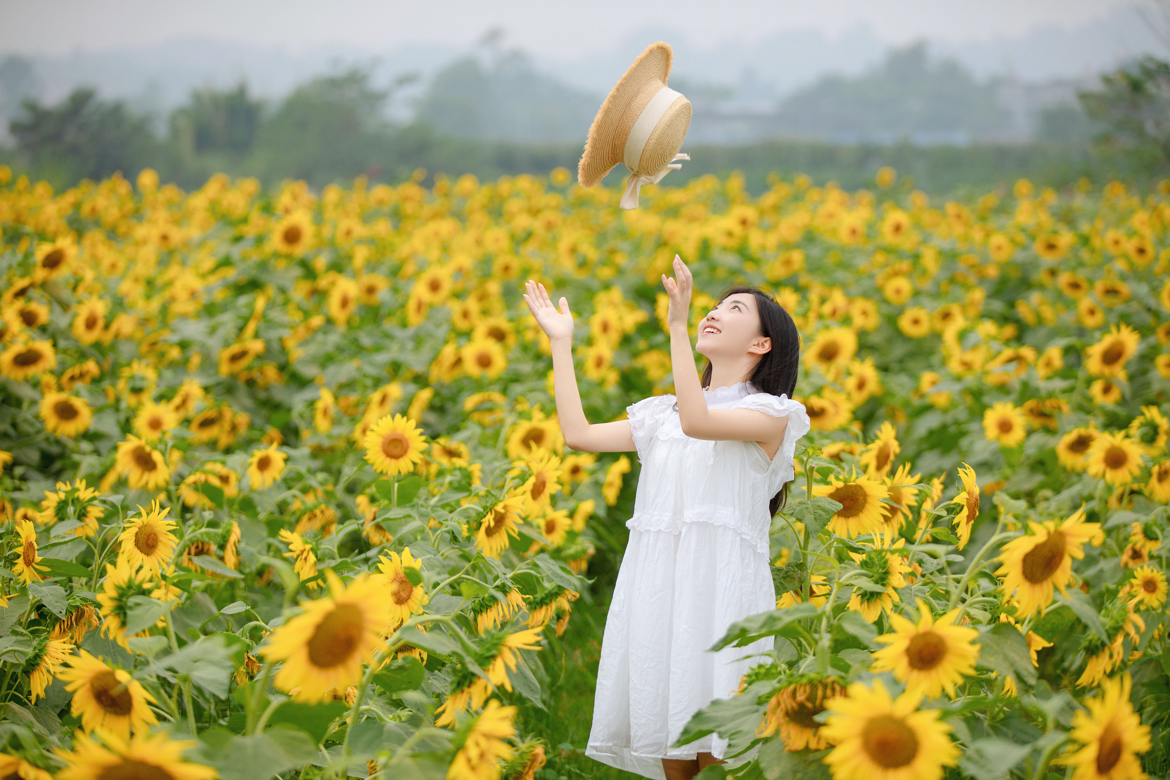 向日葵女孩 向日葵 花 少女 小清新 写真集