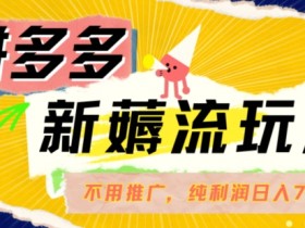 拼多多无人直播带货免费教程，新手小白轻松入门全解析