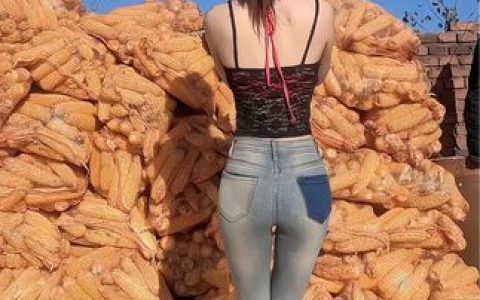 网易CC小果至尊版舞蹈合集分享,精彩内容全解读