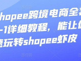 迪拜跨境电商资金管理如何规划，规划迪拜跨境电商项目的资金管理