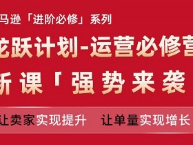 亚马逊高级广告投放策略，提升曝光与转化的核心技巧