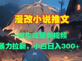 小说推文短视频推广技巧，精准引流获取更多用户