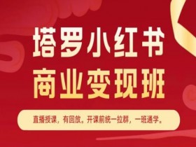 如何用小红书虚拟资源掘金，低成本操作月入20万的秘籍