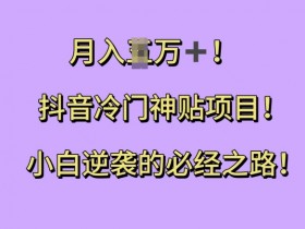 玩转抖音营销的13篇报告合集，品牌主必读的营销思路