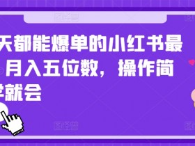 小红书短剧如何日入4位数，从选剧到推广的玩法拆解