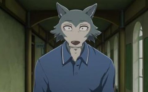 动物狂想曲兔子与狼的关系发展,每一季的情感波动揭秘