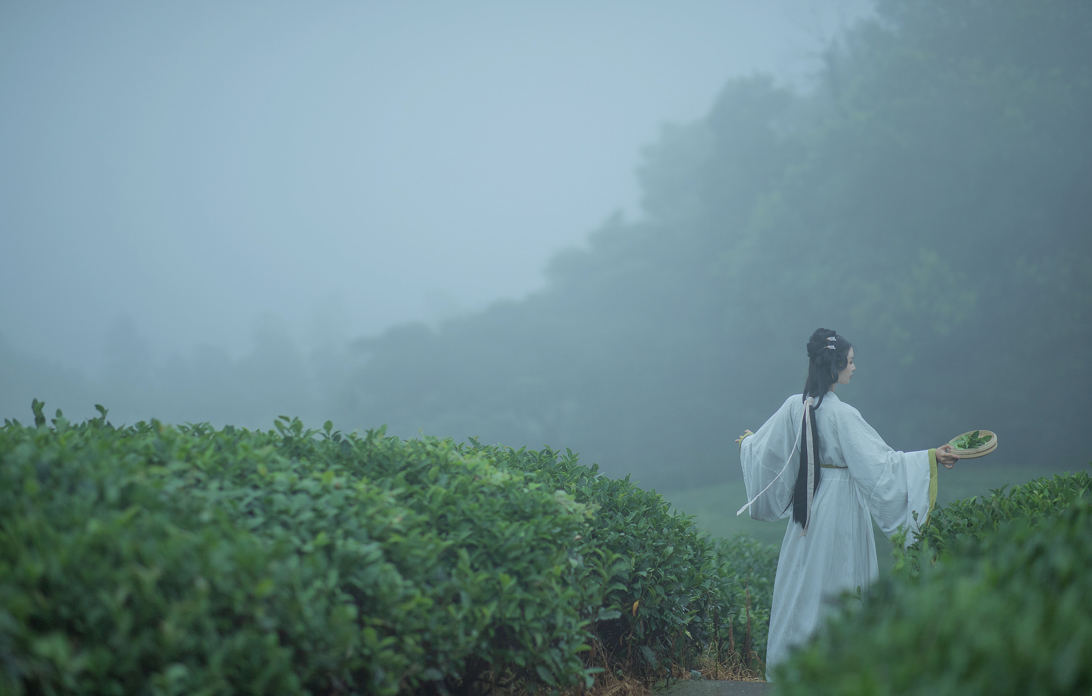 [YiTuYu艺图语] 十八重川《采茶女》 好看的4K高清无水印纯欲妹子意境唯美写真完整版图集