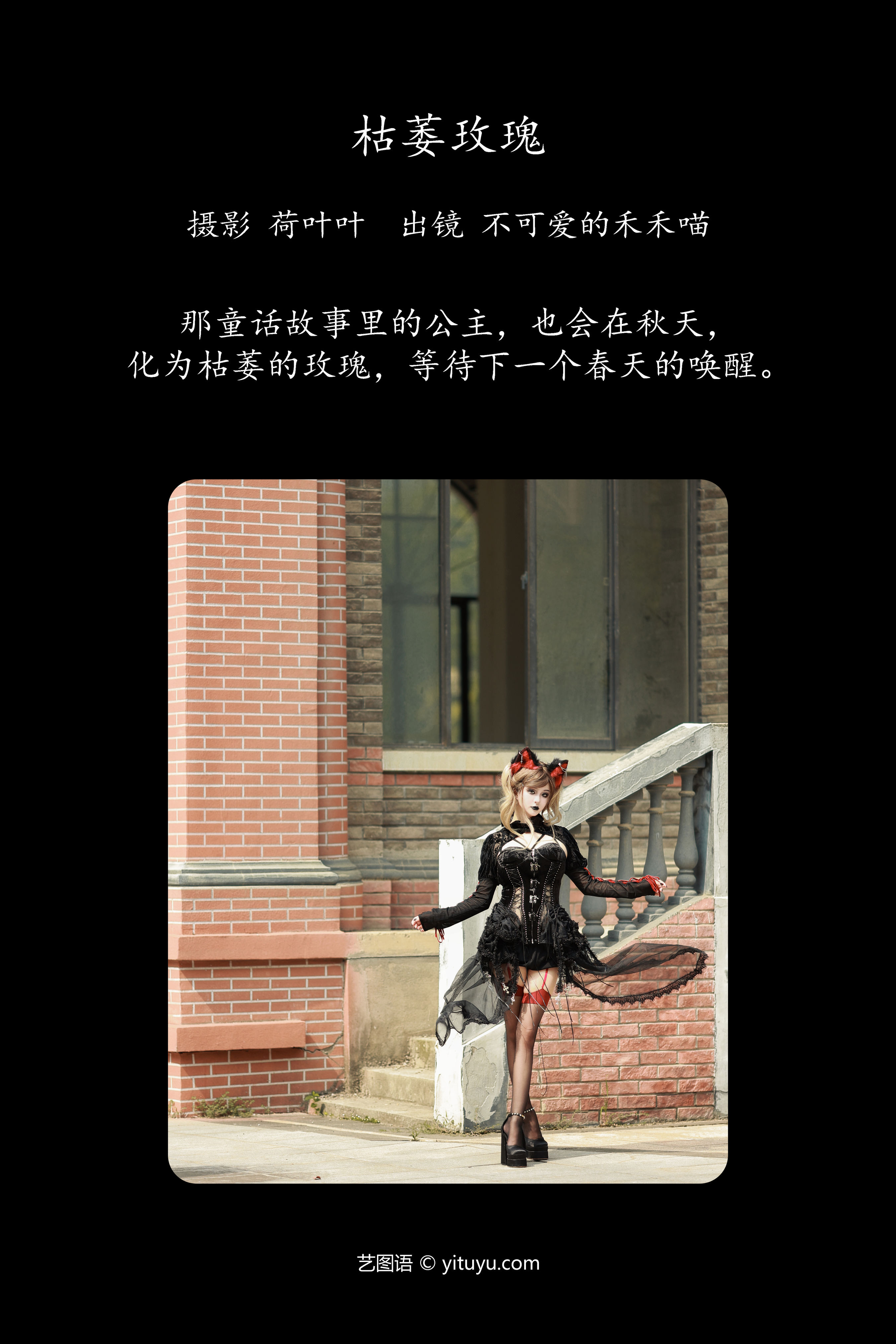 枯萎玫瑰 