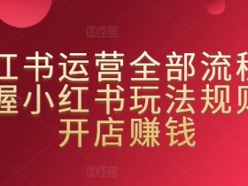 小红书算法如何推流，流量分配背后的底层逻辑解析