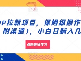 夸克拉新原理与机制，深入了解夸克拉新是如何运作的