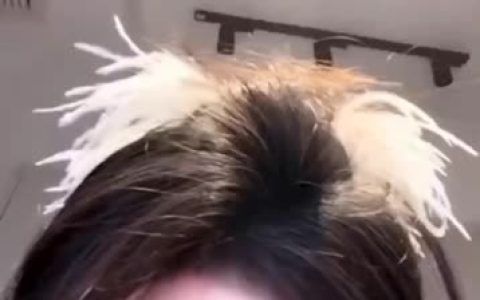 二姐疼你微博叫什么,快速找到二姐疼你微博账号