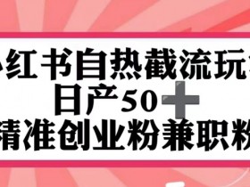 短剧推广收益能有多高，小红书从引流到变现的案例分享