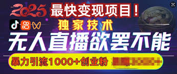 快手无人直播模式，探索快手无人直播的多种运营模式与玩法