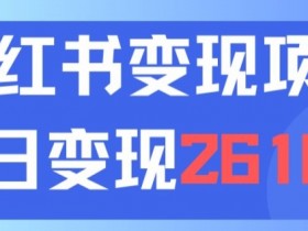 小红书掘金项目能稳定赚钱吗，蓝海虚拟赛道的核心操作