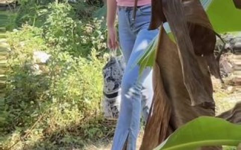 网易CC奈小喵最受欢迎的三款包推荐,她的必备时尚选择