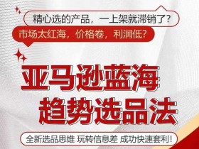 亚马逊成人用品市场趋势预测，未来三年的增长点与风险分析