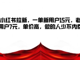 小红书掘金虚拟项目引流玩法，日增私域流量150+的教程