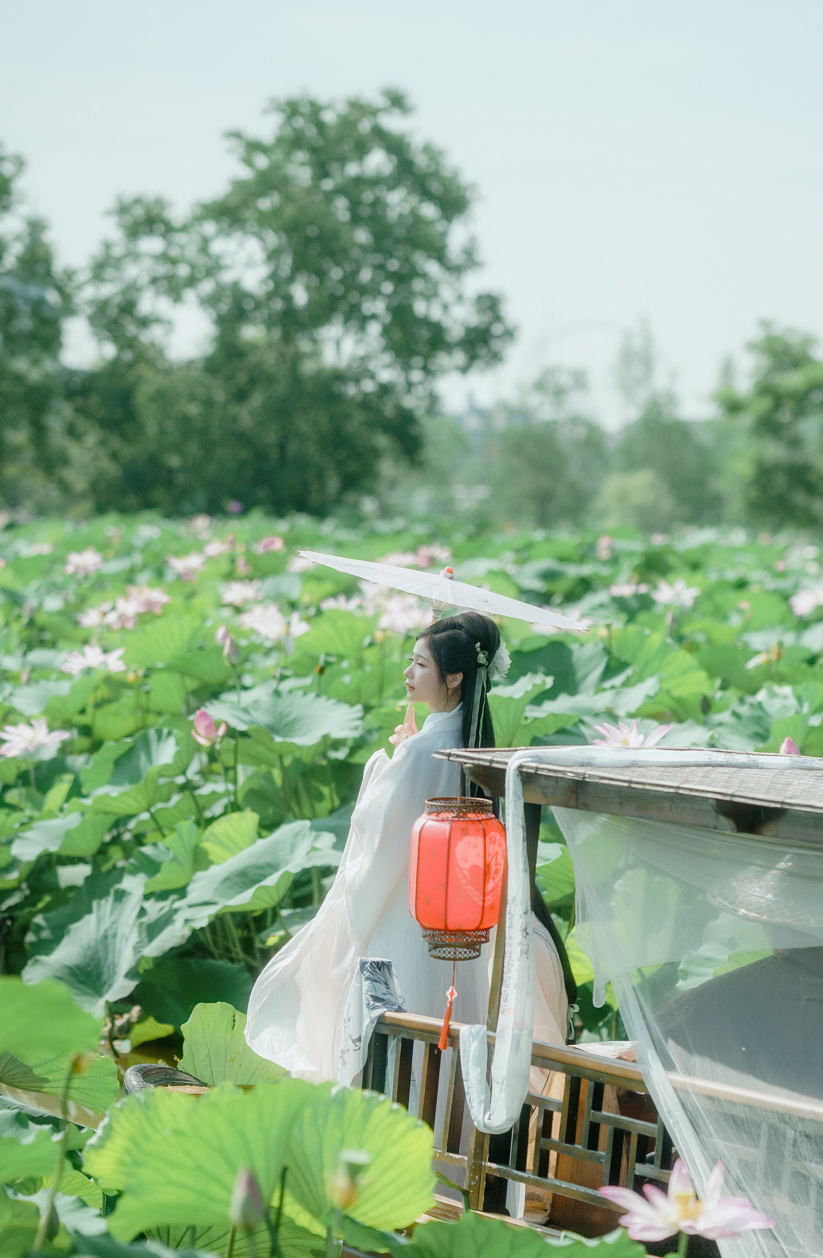 花开盛夏 花 古风 荷花 夏天 国风 仙气 小仙女