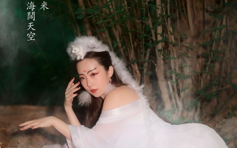 小米《白狐》 – YiTuYu艺图语