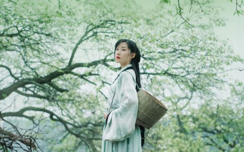 梨香古风 绿色 梨花 意境 花 优美 摄影 美图 禅意 – YiTuYu艺图语